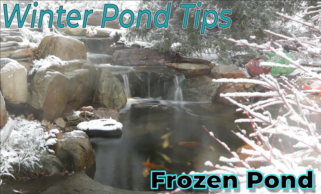 How Can I Keep a Hole in My Koi Pond Ice This Winter?