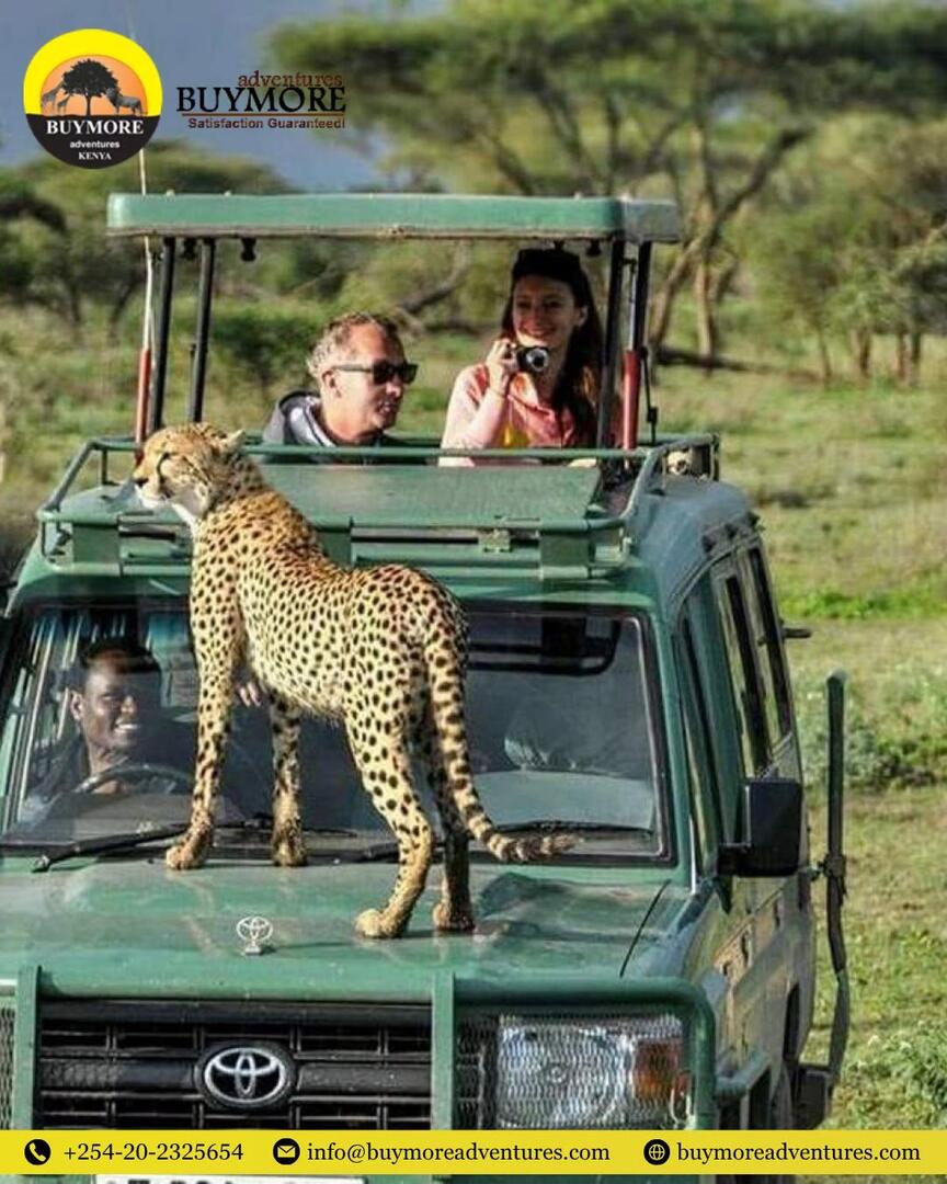 Uganda Wildlife Safarie - Explore Africa's Untamed Beauty
